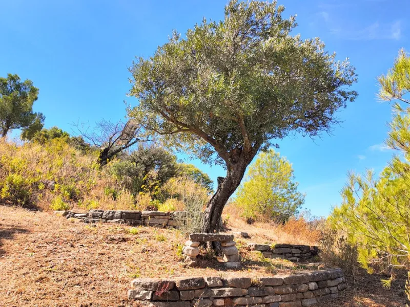 A Hidden Gem Above El Chorro Lake - Ardales