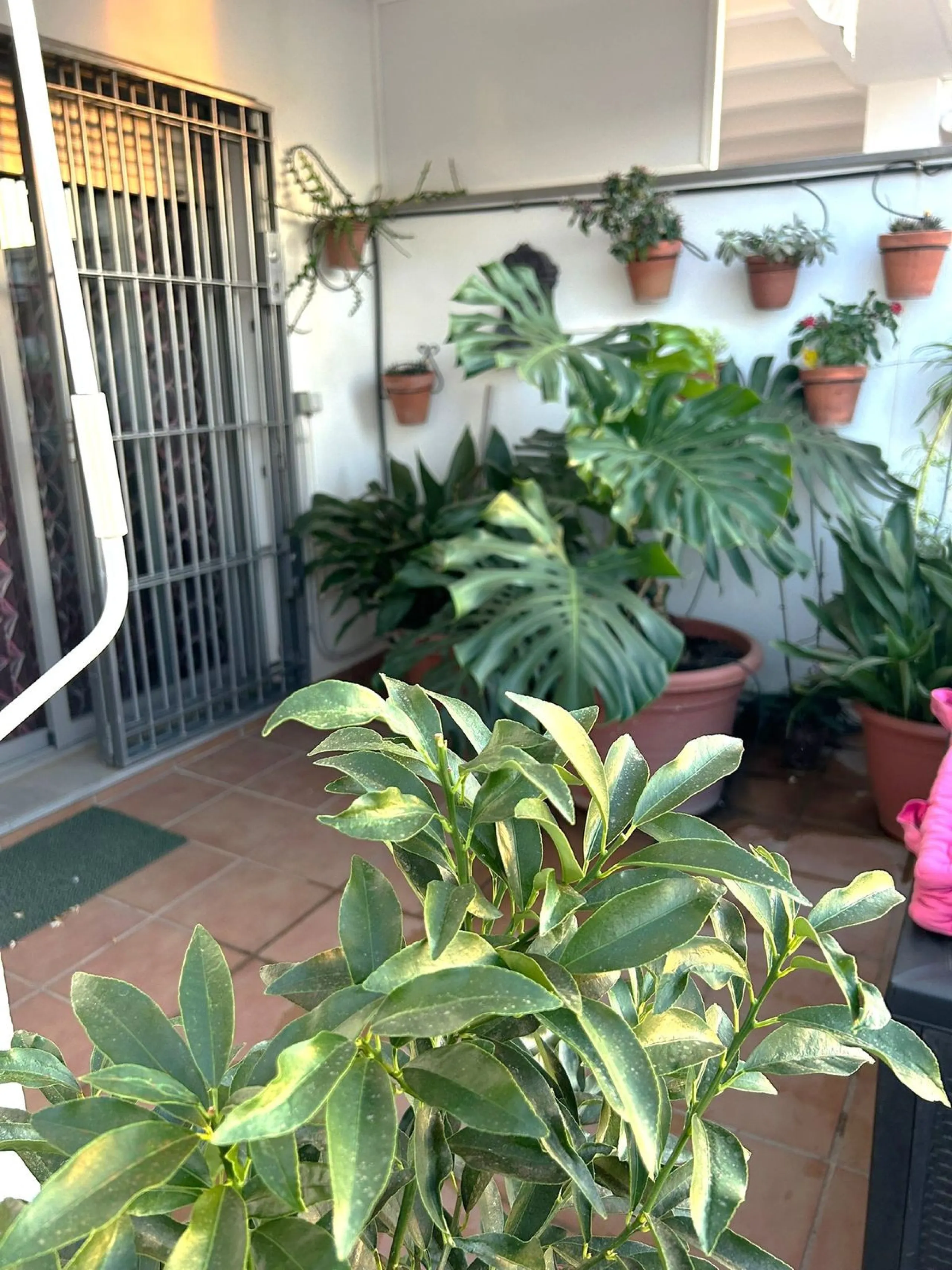 Two-bedroom penthouse for sale located in the upper part of Alhaurín el Grande. It has two large terraces with unbeatable views of the area. From the front terrace, measuring 14 m2, you can admire the Sierra de Mijas mountains, and the rear terrace, measu