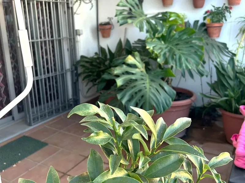 Two-bedroom penthouse for sale located in the upper part of Alhaurín el Grande. It has two large terraces with unbeatable views of the area. From the front terrace, measuring 14 m2, you can admire the Sierra de Mijas mountains, and the rear terrace, measu