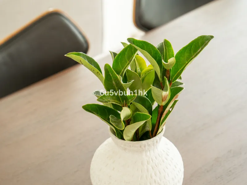 Apartment - Ground Floor Apartment в продаже в Fuengirola, Málaga. В доме 3 спален и 2 ванных комнат. Площадь дома 159 м². Площадь участка 387 м²
