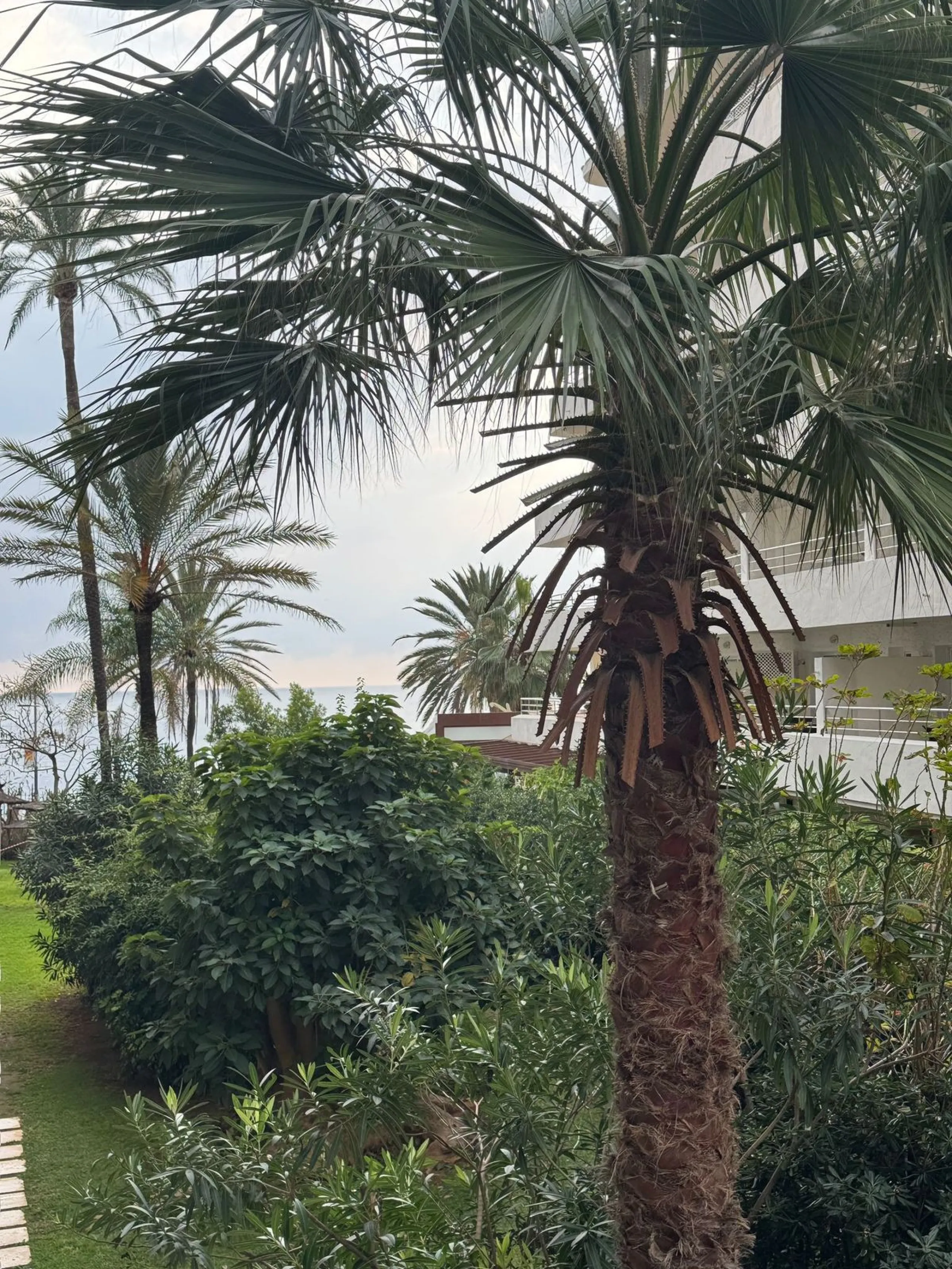 Apartment - Middle Floor Apartment в продаже в Marbella, Málaga. В доме 1 спален и 1 ванных комнат. Площадь дома 49 м²
