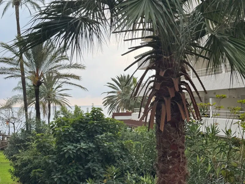 Apartment - Middle Floor Apartment в продаже в Marbella, Málaga. В доме 1 спален и 1 ванных комнат. Площадь дома 49 м²