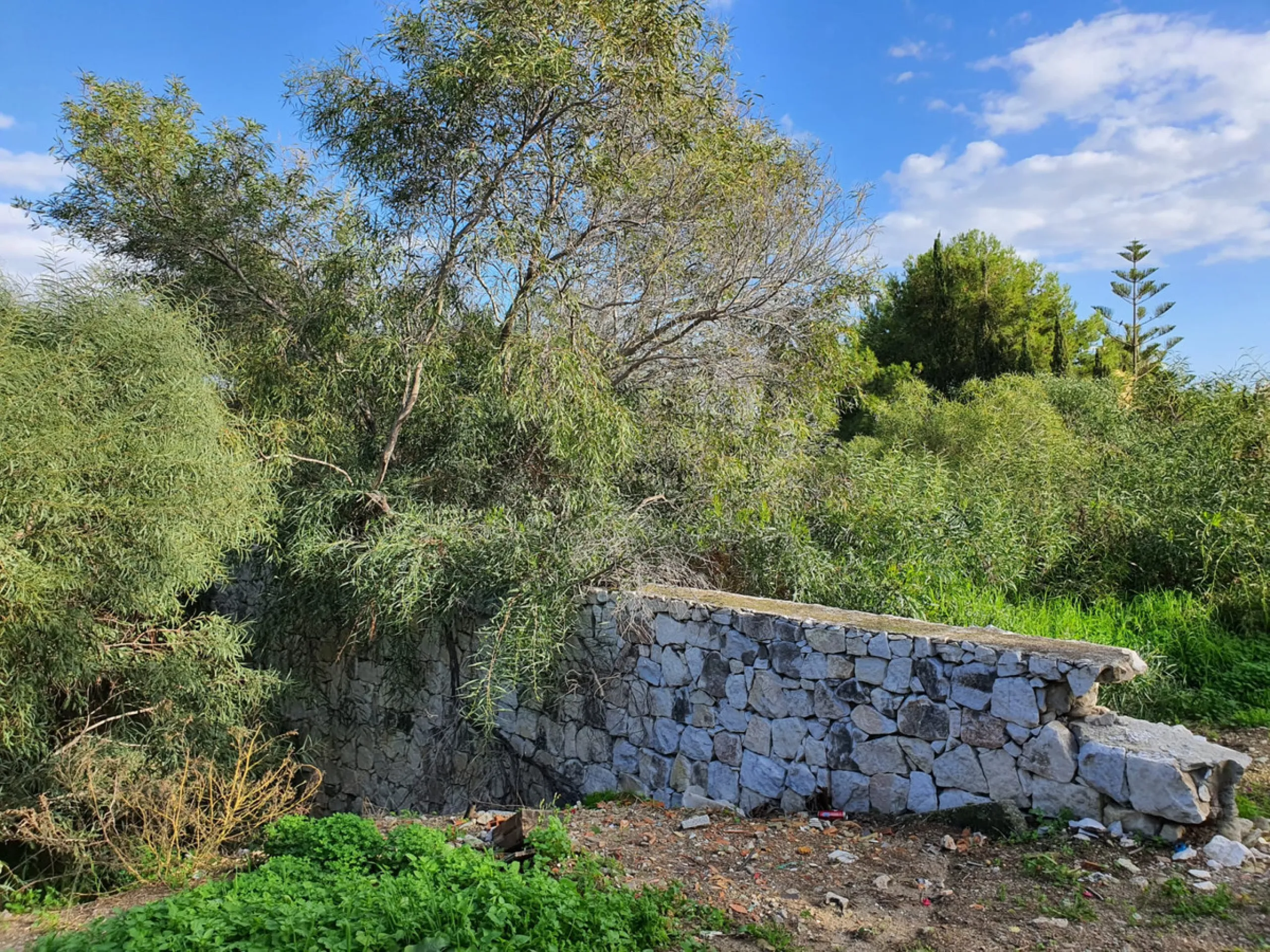 TWO PLOTS WITH PANORAMIC VIEW STRUCTURE