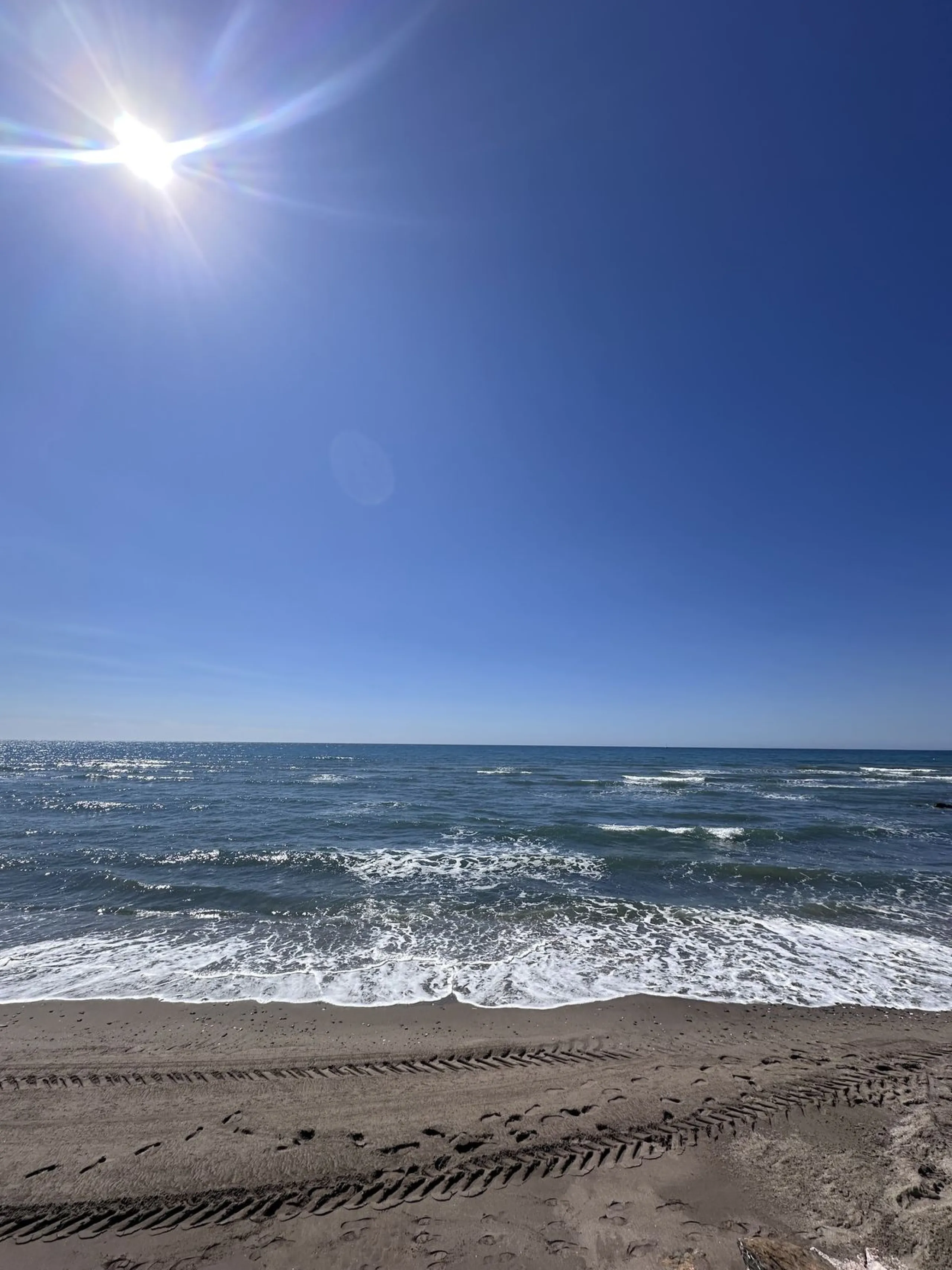 Investment Opportunity – New on the Market!