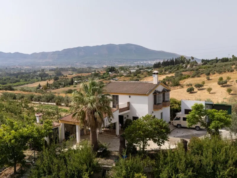 Wonderful finca with almost 50,000 m2 of land, totally fenced, with 5 different entrances, water from its own well plus irrigation water from the canal such us two algibes/ water deposits. T he land is divided into several terraces and planted mainly with