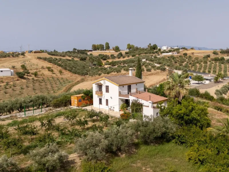 Wonderful finca with almost 50,000 m2 of land, totally fenced, with 5 different entrances, water from its own well plus irrigation water from the canal such us two algibes/ water deposits. T he land is divided into several terraces and planted mainly with