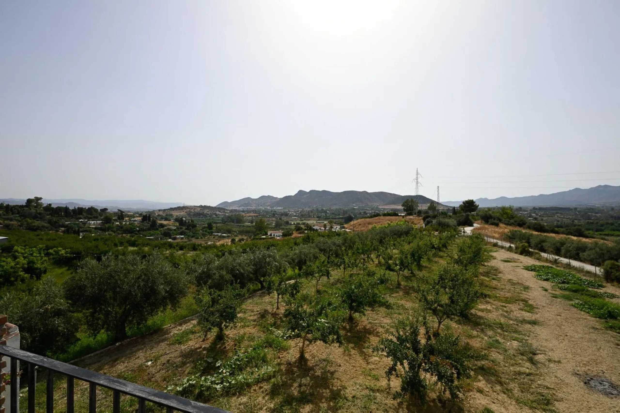 Wonderful finca with almost 50,000 m2 of land, totally fenced, with 5 different entrances, water from its own well plus irrigation water from the canal such us two algibes/ water deposits. T he land is divided into several terraces and planted mainly with