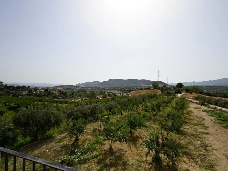Wonderful finca with almost 50,000 m2 of land, totally fenced, with 5 different entrances, water from its own well plus irrigation water from the canal such us two algibes/ water deposits. T he land is divided into several terraces and planted mainly with