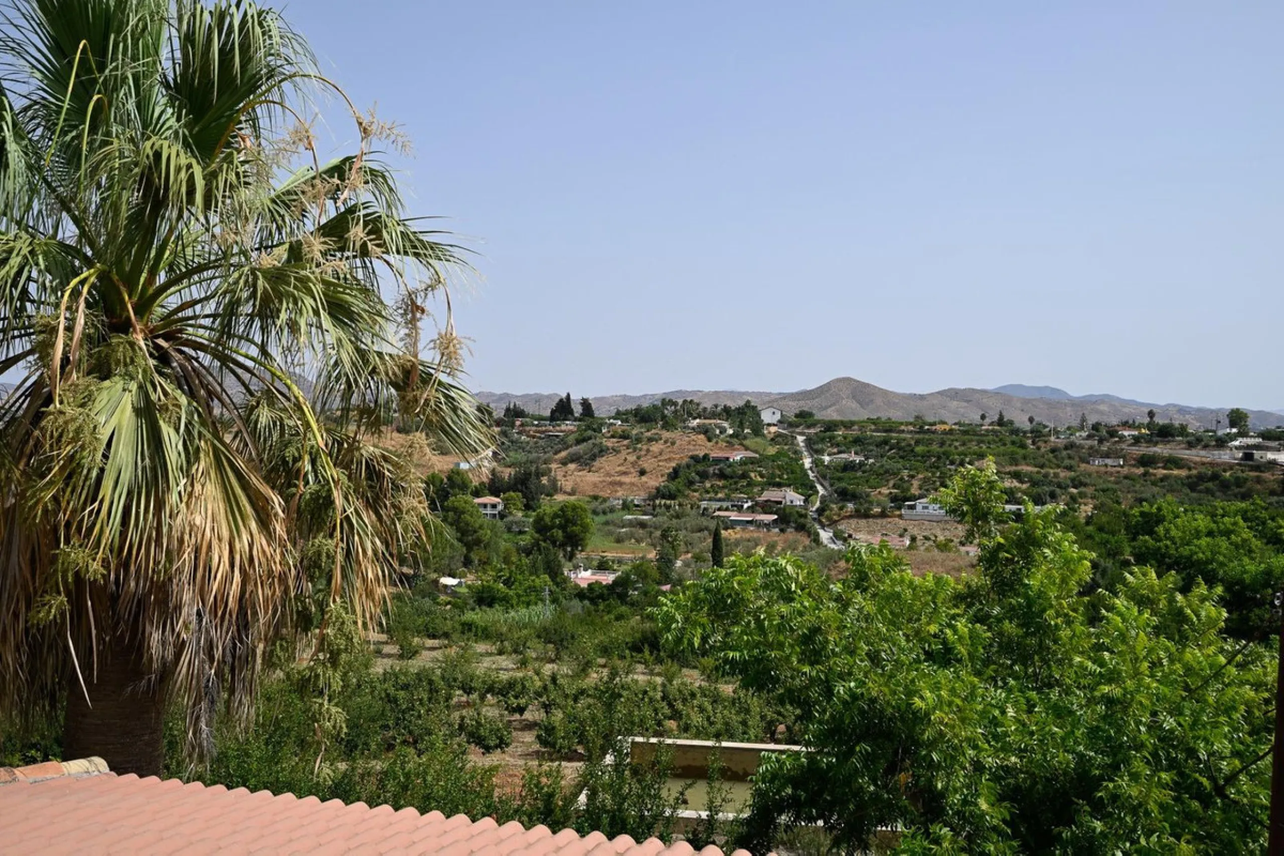 Wonderful finca with almost 50,000 m2 of land, totally fenced, with 5 different entrances, water from its own well plus irrigation water from the canal such us two algibes/ water deposits. T he land is divided into several terraces and planted mainly with