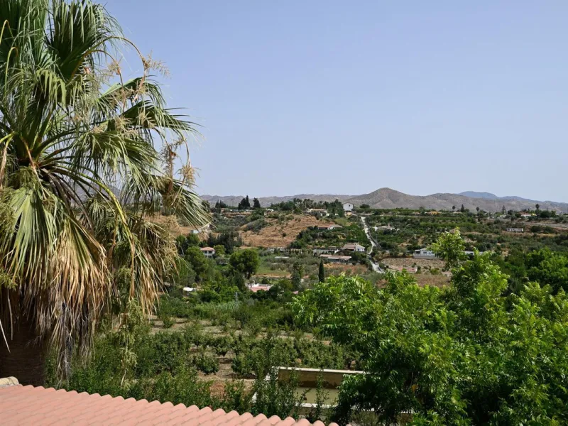 Wonderful finca with almost 50,000 m2 of land, totally fenced, with 5 different entrances, water from its own well plus irrigation water from the canal such us two algibes/ water deposits. T he land is divided into several terraces and planted mainly with