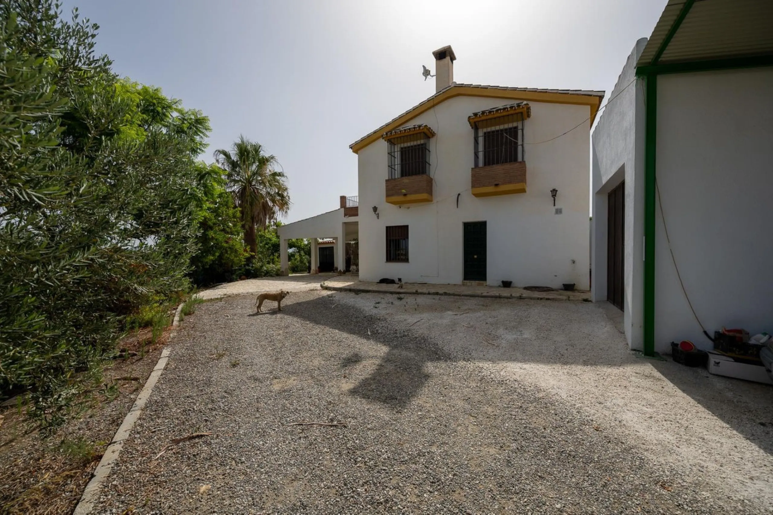 Wonderful finca with almost 50,000 m2 of land, totally fenced, with 5 different entrances, water from its own well plus irrigation water from the canal such us two algibes/ water deposits. T he land is divided into several terraces and planted mainly with