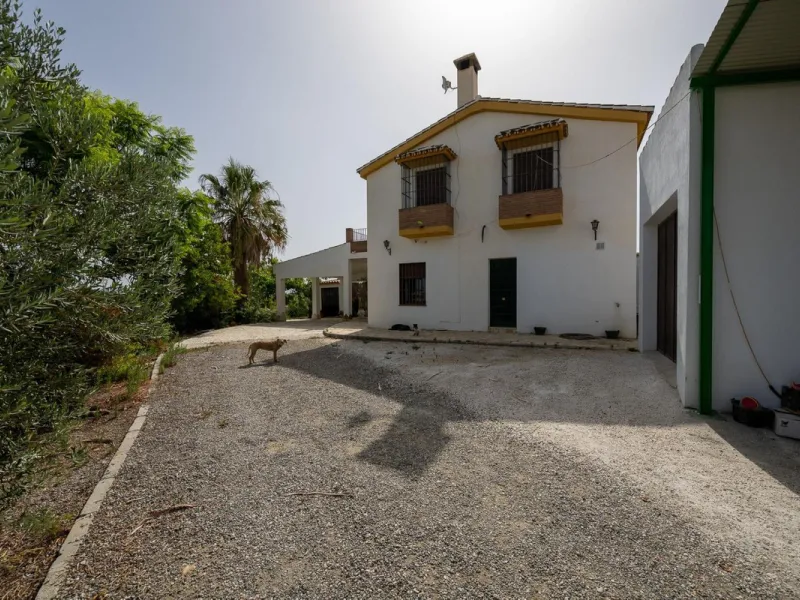 Wonderful finca with almost 50,000 m2 of land, totally fenced, with 5 different entrances, water from its own well plus irrigation water from the canal such us two algibes/ water deposits. T he land is divided into several terraces and planted mainly with
