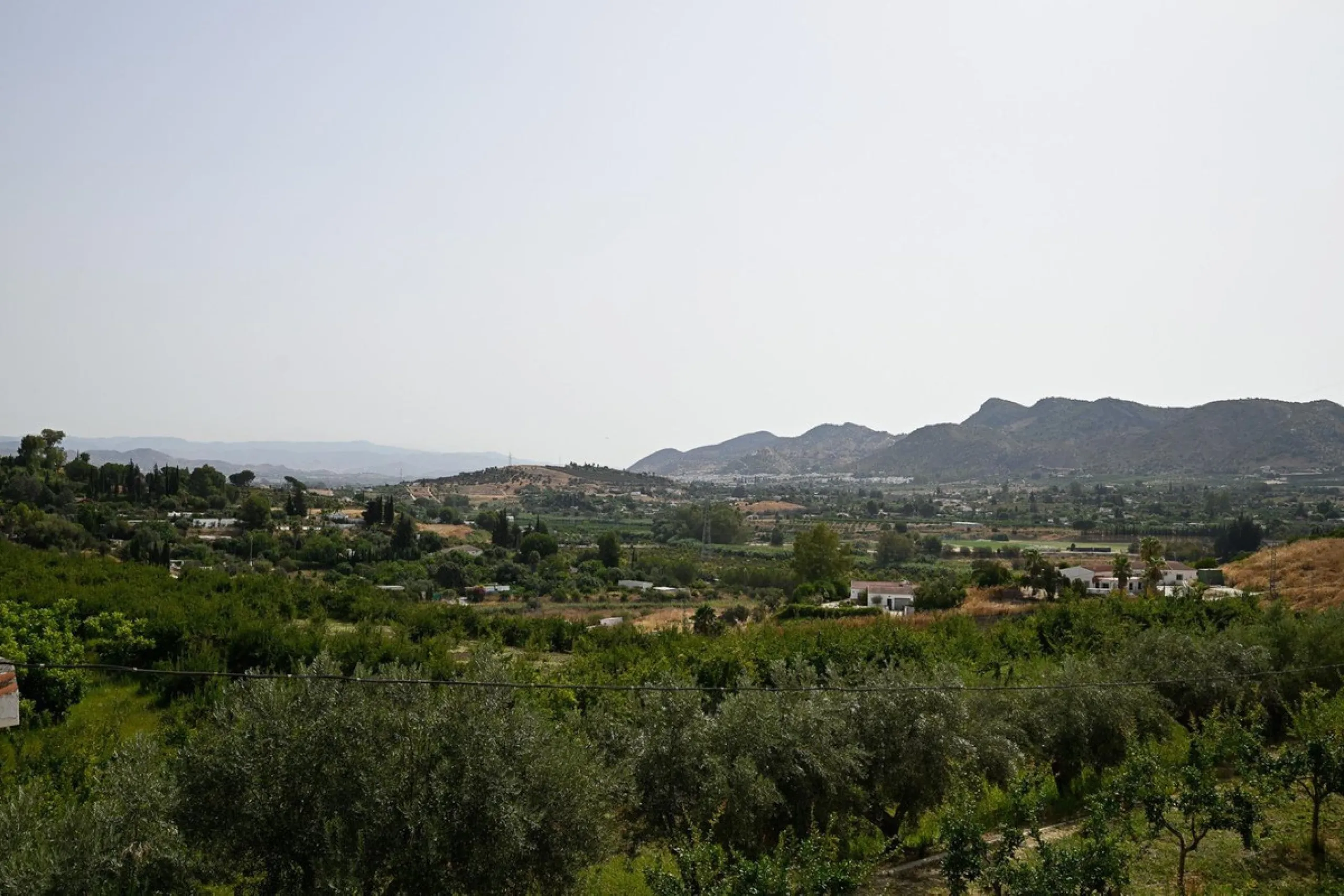 Wonderful finca with almost 50,000 m2 of land, totally fenced, with 5 different entrances, water from its own well plus irrigation water from the canal such us two algibes/ water deposits. T he land is divided into several terraces and planted mainly with