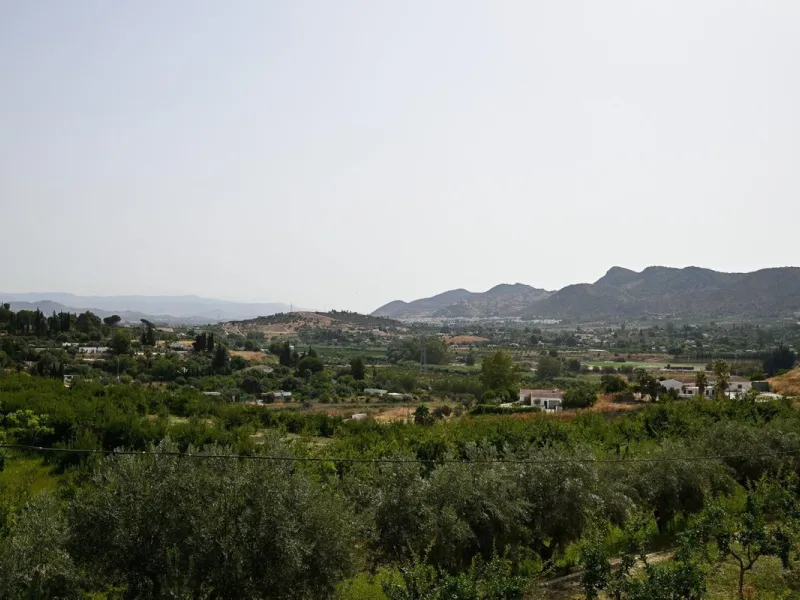 Wonderful finca with almost 50,000 m2 of land, totally fenced, with 5 different entrances, water from its own well plus irrigation water from the canal such us two algibes/ water deposits. T he land is divided into several terraces and planted mainly with