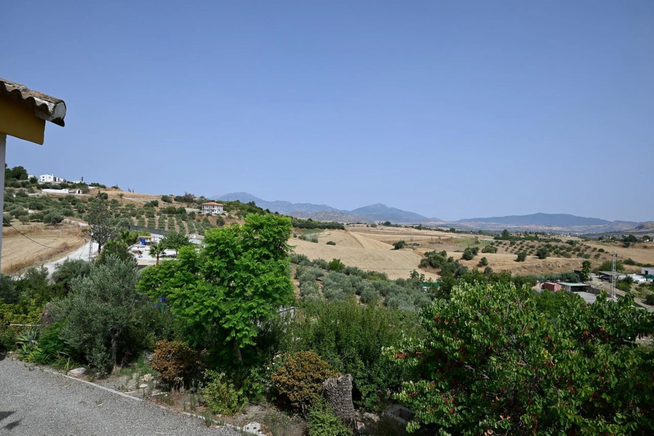 Wonderful finca with almost 50,000 m2 of land, totally fenced, with 5 different entrances, water from its own well plus irrigation water from the canal such us two algibes/ water deposits. T he land is divided into several terraces and planted mainly with