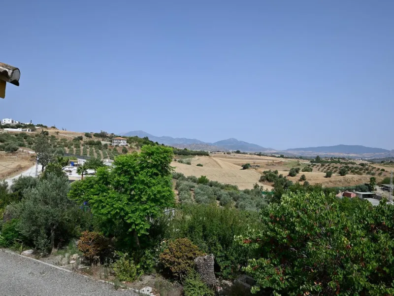 Wonderful finca with almost 50,000 m2 of land, totally fenced, with 5 different entrances, water from its own well plus irrigation water from the canal such us two algibes/ water deposits. T he land is divided into several terraces and planted mainly with