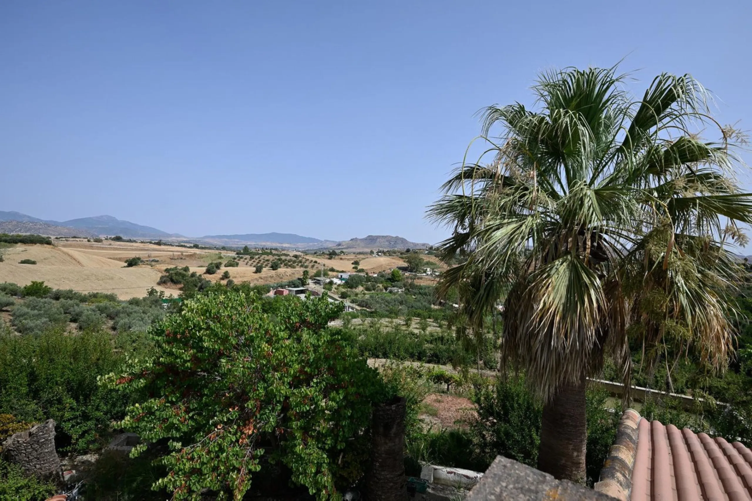 Wonderful finca with almost 50,000 m2 of land, totally fenced, with 5 different entrances, water from its own well plus irrigation water from the canal such us two algibes/ water deposits. T he land is divided into several terraces and planted mainly with