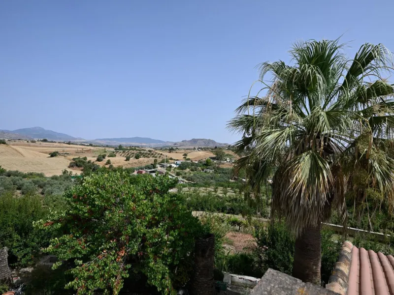 Wonderful finca with almost 50,000 m2 of land, totally fenced, with 5 different entrances, water from its own well plus irrigation water from the canal such us two algibes/ water deposits. T he land is divided into several terraces and planted mainly with