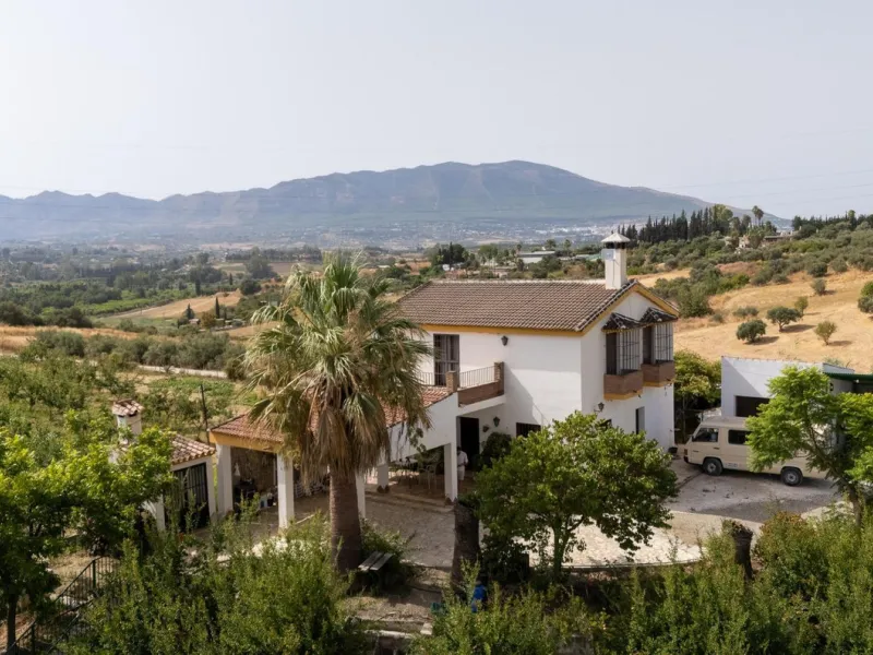 Wonderful finca with almost 50,000 m2 of land, totally fenced, with 5 different entrances, water from its own well plus irrigation water from the canal such us two algibes/ water deposits. T he land is divided into several terraces and planted mainly with