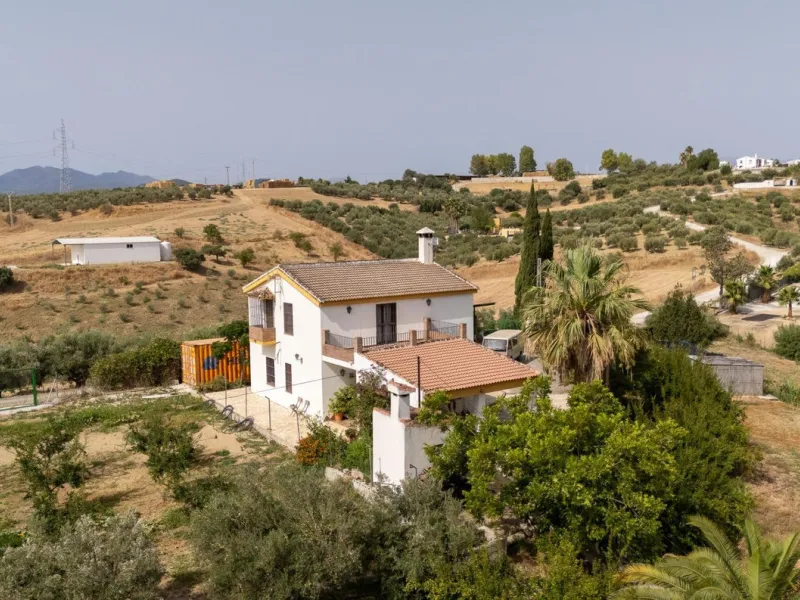Wonderful finca with almost 50,000 m2 of land, totally fenced, with 5 different entrances, water from its own well plus irrigation water from the canal such us two algibes/ water deposits. T he land is divided into several terraces and planted mainly with