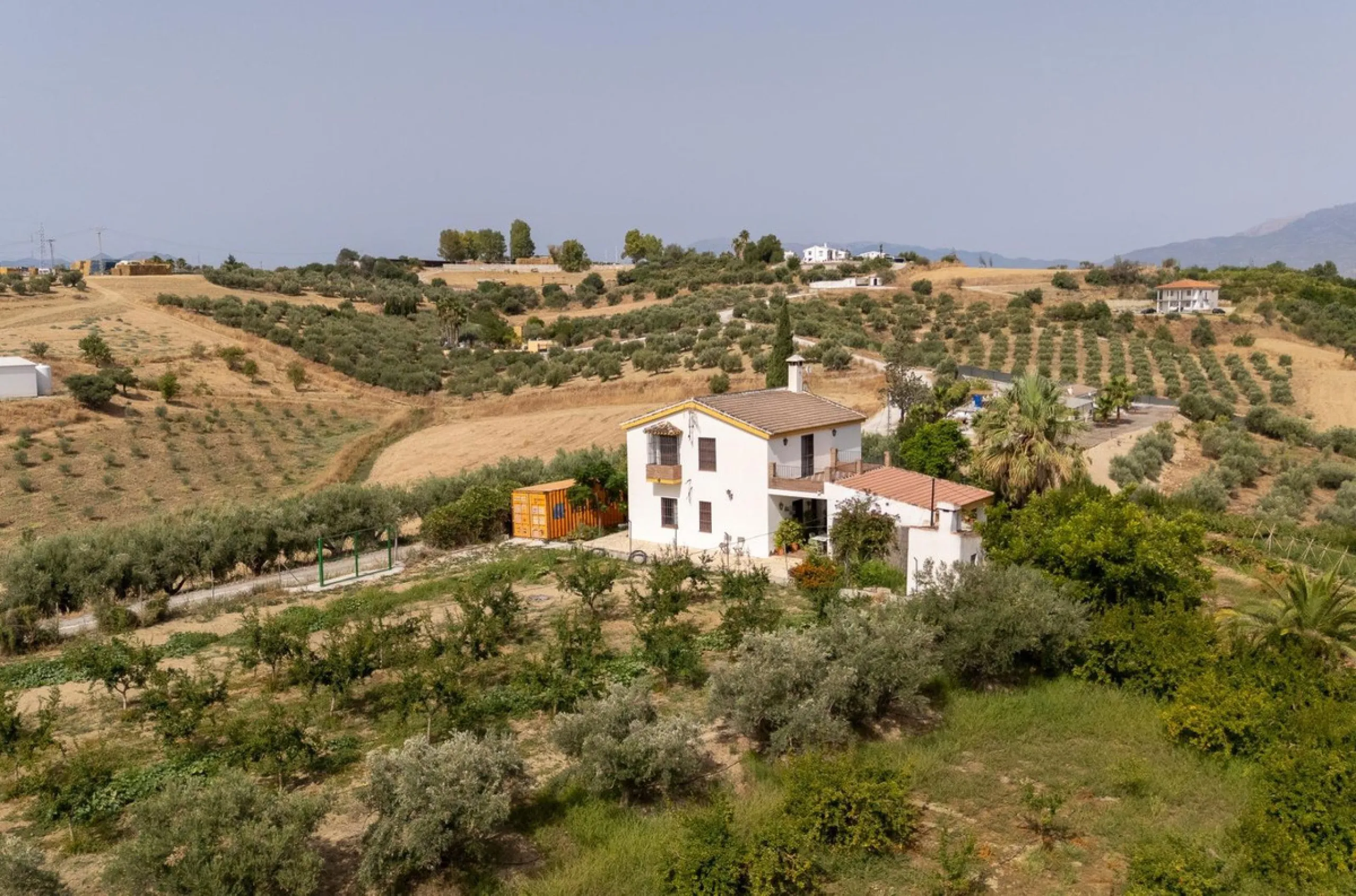Wonderful finca with almost 50,000 m2 of land, totally fenced, with 5 different entrances, water from its own well plus irrigation water from the canal such us two algibes/ water deposits. T he land is divided into several terraces and planted mainly with