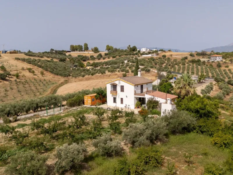 Wonderful finca with almost 50,000 m2 of land, totally fenced, with 5 different entrances, water from its own well plus irrigation water from the canal such us two algibes/ water deposits. T he land is divided into several terraces and planted mainly with