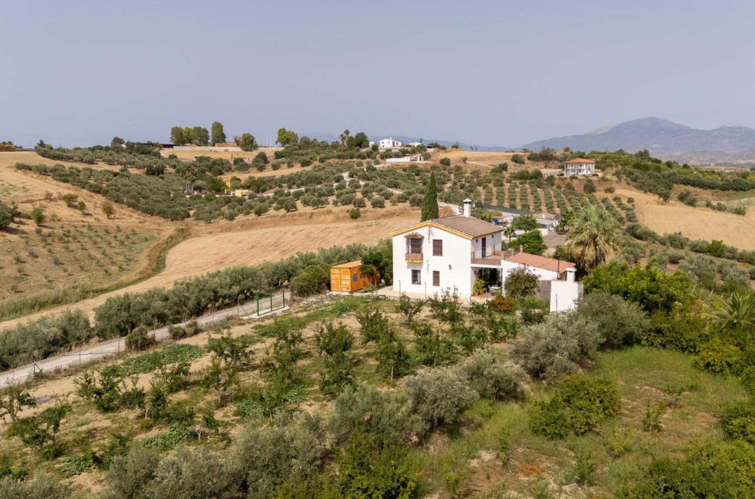 Wonderful finca with almost 50,000 m2 of land, totally fenced, with 5 different entrances, water from its own well plus irrigation water from the canal such us two algibes/ water deposits. T he land is divided into several terraces and planted mainly with