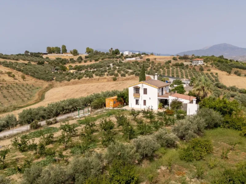 Wonderful finca with almost 50,000 m2 of land, totally fenced, with 5 different entrances, water from its own well plus irrigation water from the canal such us two algibes/ water deposits. T he land is divided into several terraces and planted mainly with