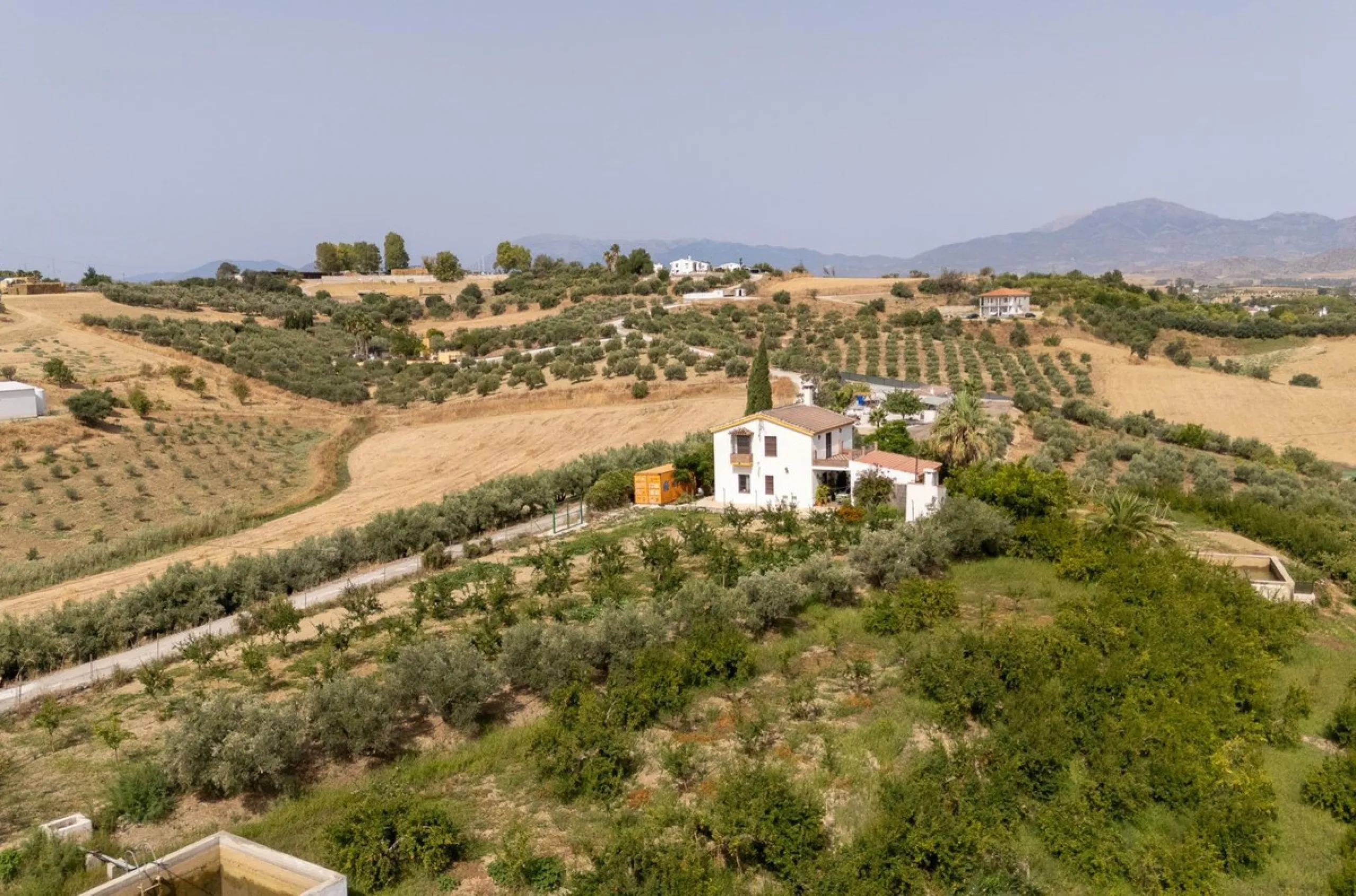 Wonderful finca with almost 50,000 m2 of land, totally fenced, with 5 different entrances, water from its own well plus irrigation water from the canal such us two algibes/ water deposits. T he land is divided into several terraces and planted mainly with