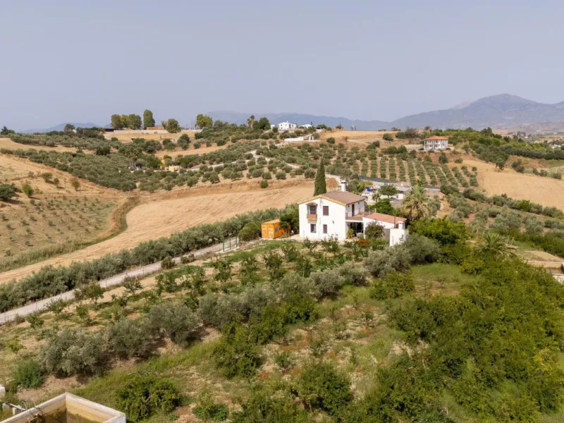 Wonderful finca with almost 50,000 m2 of land, totally fenced, with 5 different entrances, water from its own well plus irrigation water from the canal such us two algibes/ water deposits. T he land is divided into several terraces and planted mainly with