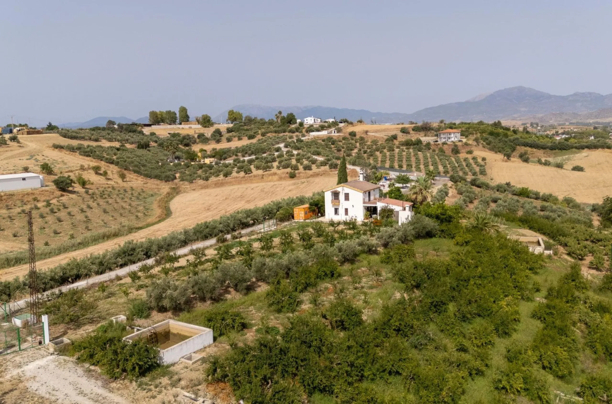 Wonderful finca with almost 50,000 m2 of land, totally fenced, with 5 different entrances, water from its own well plus irrigation water from the canal such us two algibes/ water deposits. T he land is divided into several terraces and planted mainly with