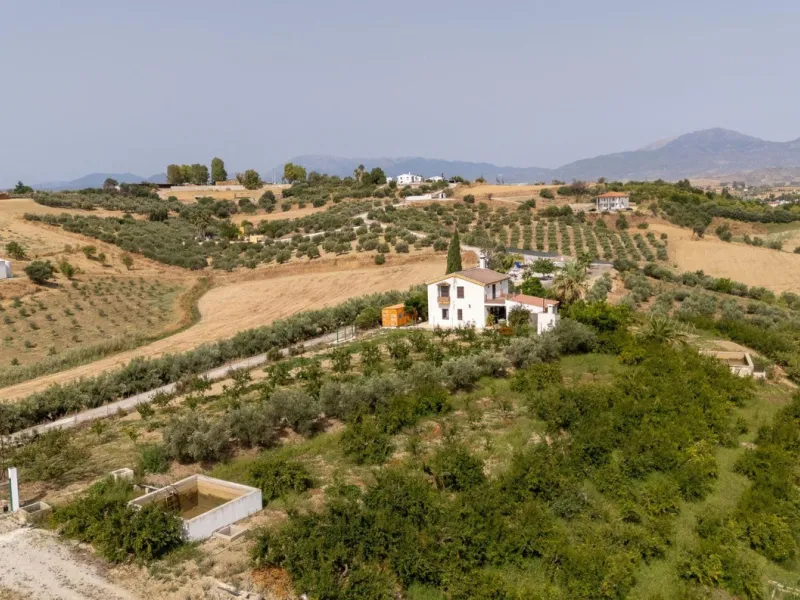 Wonderful finca with almost 50,000 m2 of land, totally fenced, with 5 different entrances, water from its own well plus irrigation water from the canal such us two algibes/ water deposits. T he land is divided into several terraces and planted mainly with