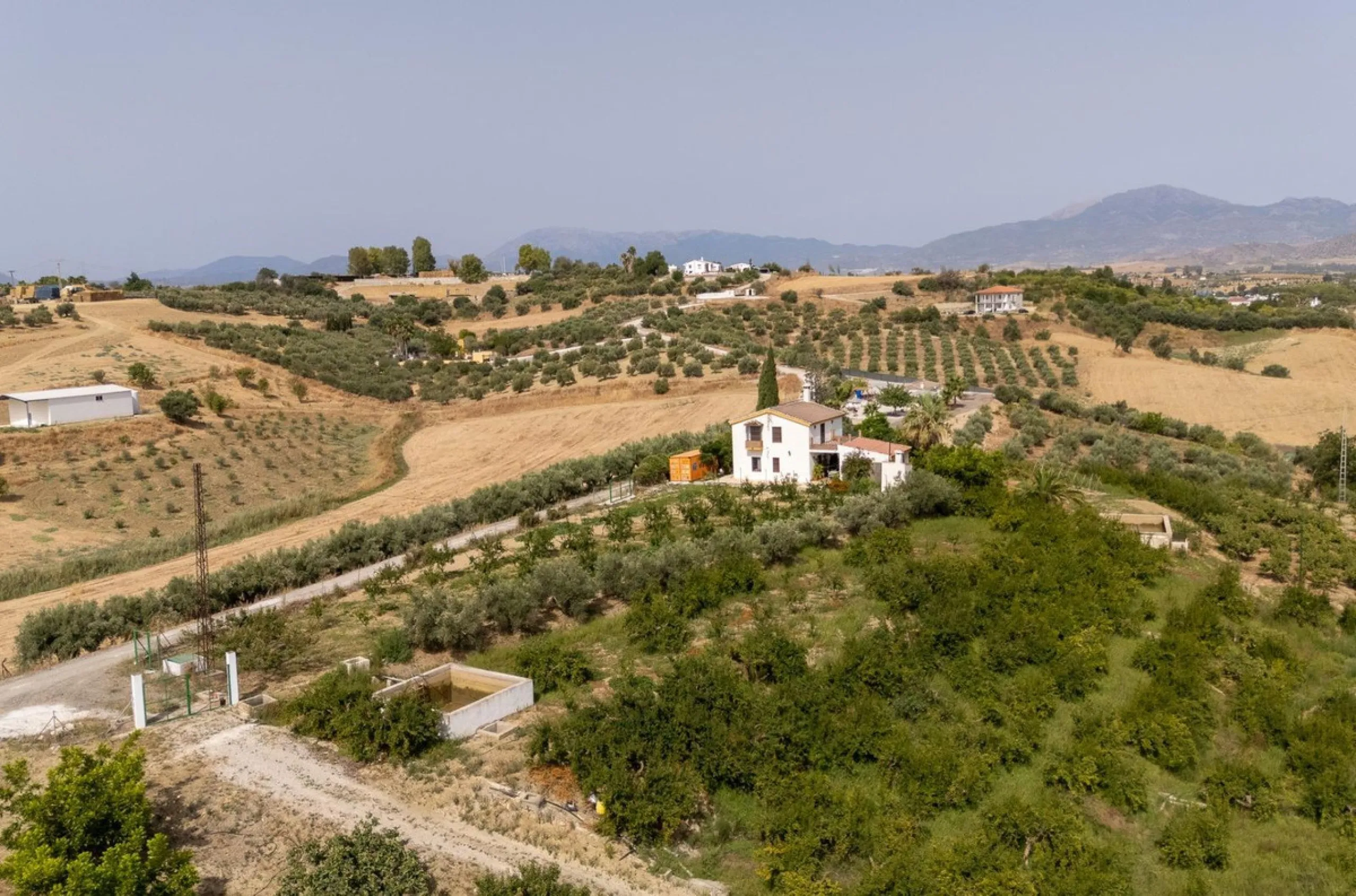 Wonderful finca with almost 50,000 m2 of land, totally fenced, with 5 different entrances, water from its own well plus irrigation water from the canal such us two algibes/ water deposits. T he land is divided into several terraces and planted mainly with