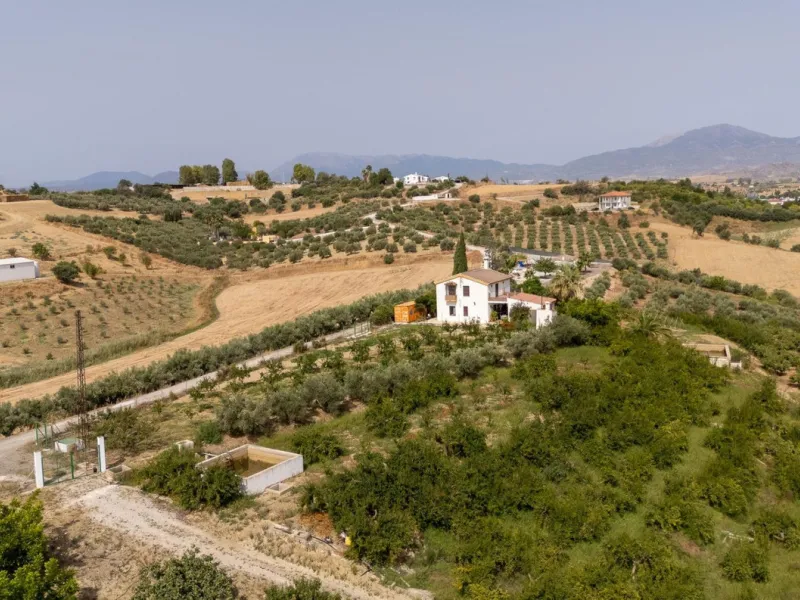 Wonderful finca with almost 50,000 m2 of land, totally fenced, with 5 different entrances, water from its own well plus irrigation water from the canal such us two algibes/ water deposits. T he land is divided into several terraces and planted mainly with