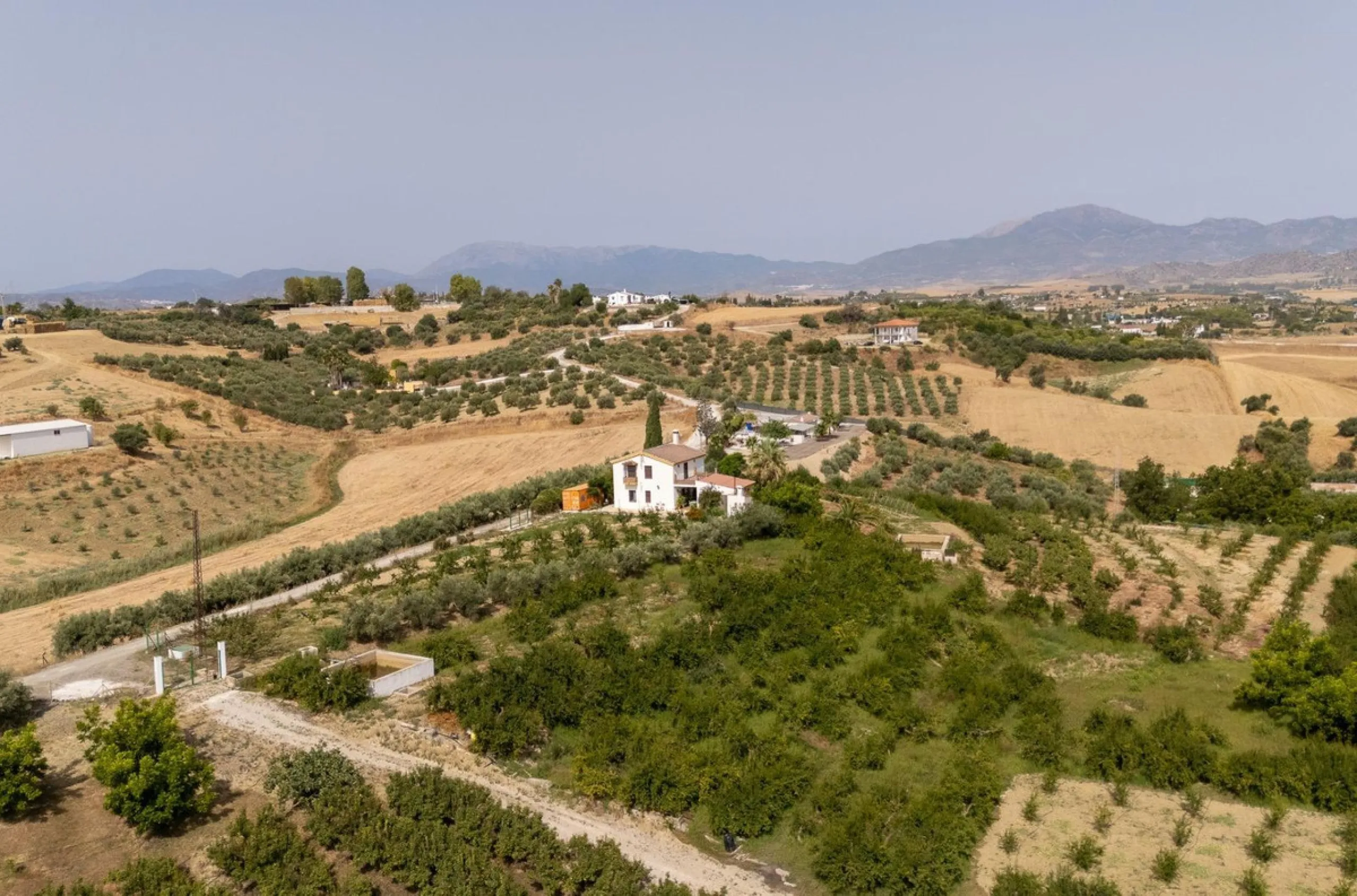Wonderful finca with almost 50,000 m2 of land, totally fenced, with 5 different entrances, water from its own well plus irrigation water from the canal such us two algibes/ water deposits. T he land is divided into several terraces and planted mainly with