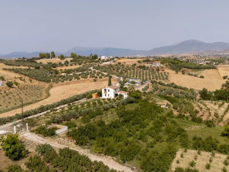 Wonderful finca with almost 50,000 m2 of land, totally fenced, with 5 different entrances, water from its own well plus irrigation water from the canal such us two algibes/ water deposits. T he land is divided into several terraces and planted mainly with