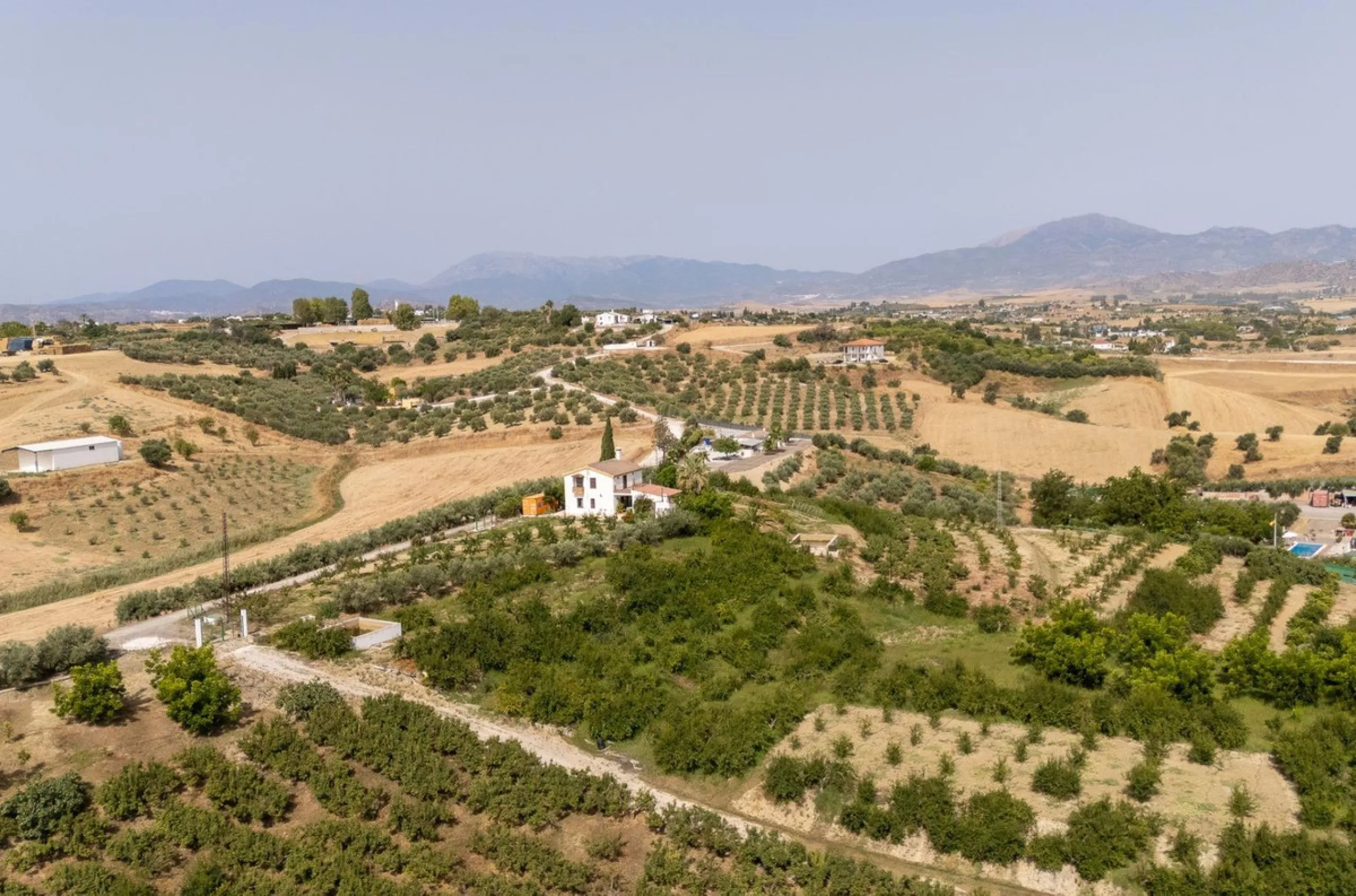 Wonderful finca with almost 50,000 m2 of land, totally fenced, with 5 different entrances, water from its own well plus irrigation water from the canal such us two algibes/ water deposits. T he land is divided into several terraces and planted mainly with