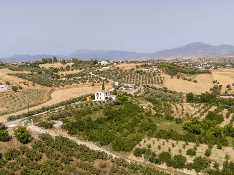 Wonderful finca with almost 50,000 m2 of land, totally fenced, with 5 different entrances, water from its own well plus irrigation water from the canal such us two algibes/ water deposits. T he land is divided into several terraces and planted mainly with