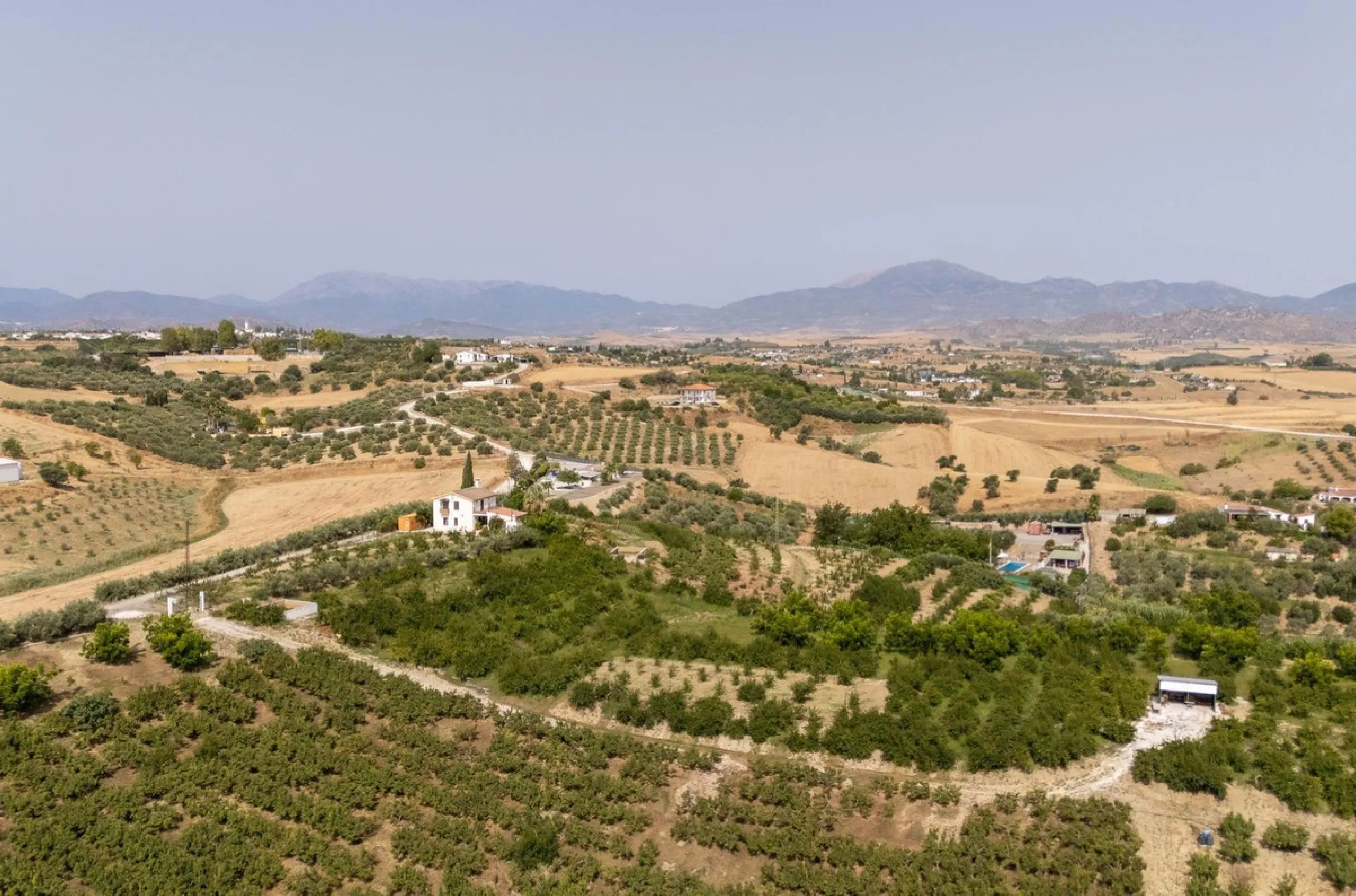 Wonderful finca with almost 50,000 m2 of land, totally fenced, with 5 different entrances, water from its own well plus irrigation water from the canal such us two algibes/ water deposits. T he land is divided into several terraces and planted mainly with