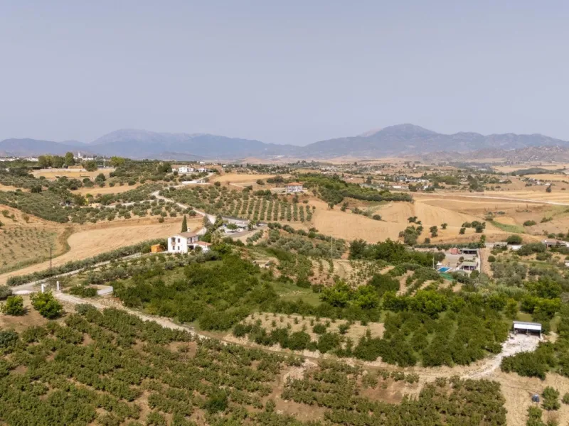 Wonderful finca with almost 50,000 m2 of land, totally fenced, with 5 different entrances, water from its own well plus irrigation water from the canal such us two algibes/ water deposits. T he land is divided into several terraces and planted mainly with