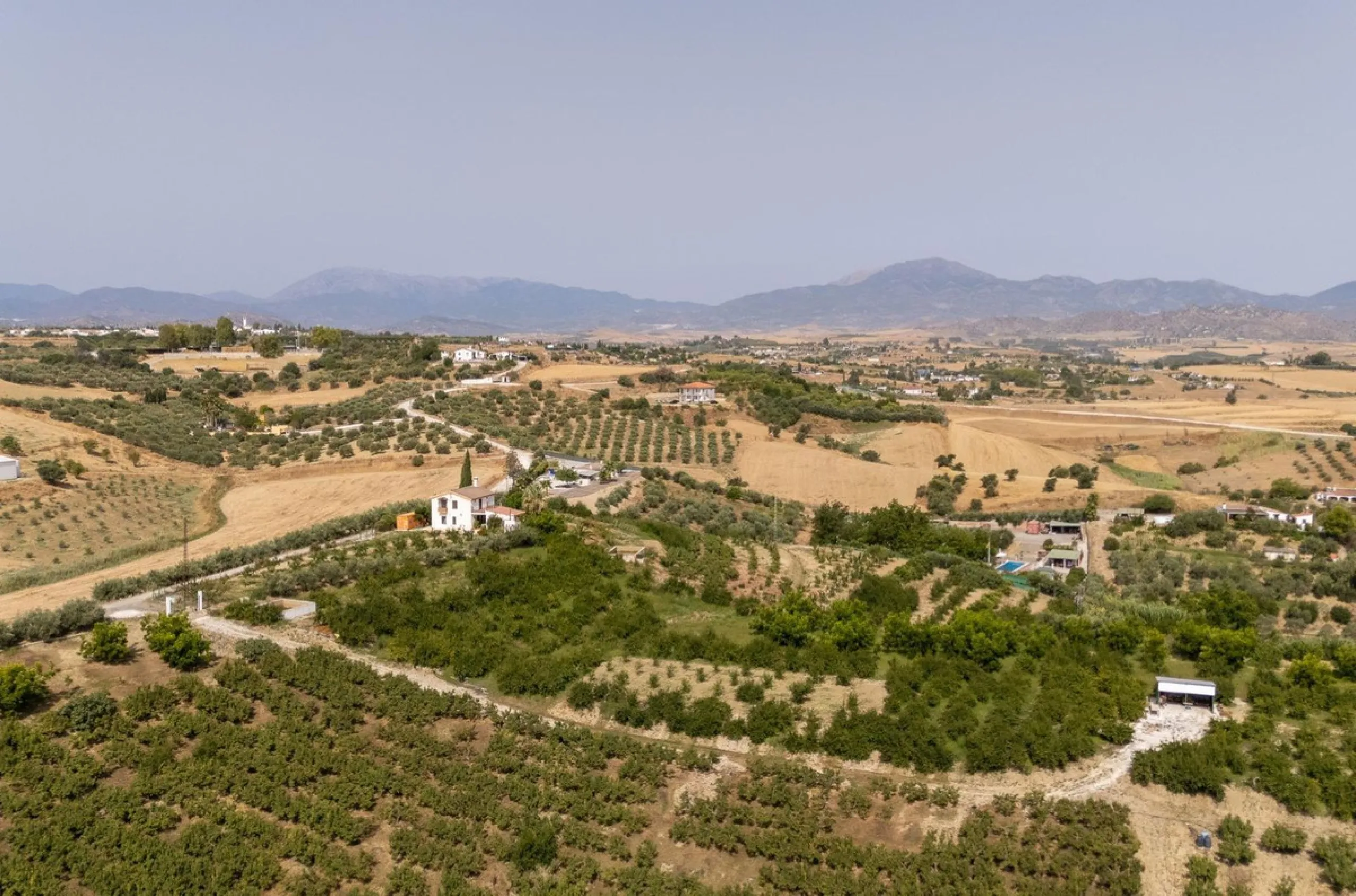Wonderful finca with almost 50,000 m2 of land, totally fenced, with 5 different entrances, water from its own well plus irrigation water from the canal such us two algibes/ water deposits. T he land is divided into several terraces and planted mainly with