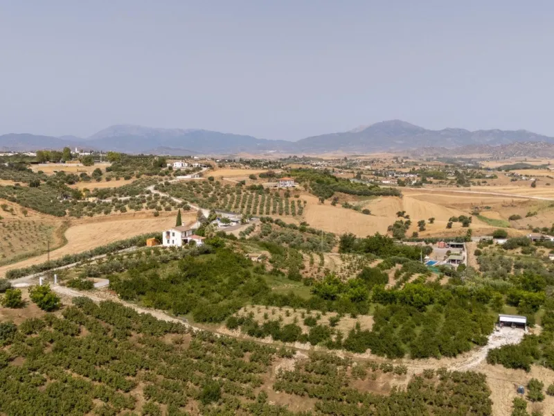 Wonderful finca with almost 50,000 m2 of land, totally fenced, with 5 different entrances, water from its own well plus irrigation water from the canal such us two algibes/ water deposits. T he land is divided into several terraces and planted mainly with