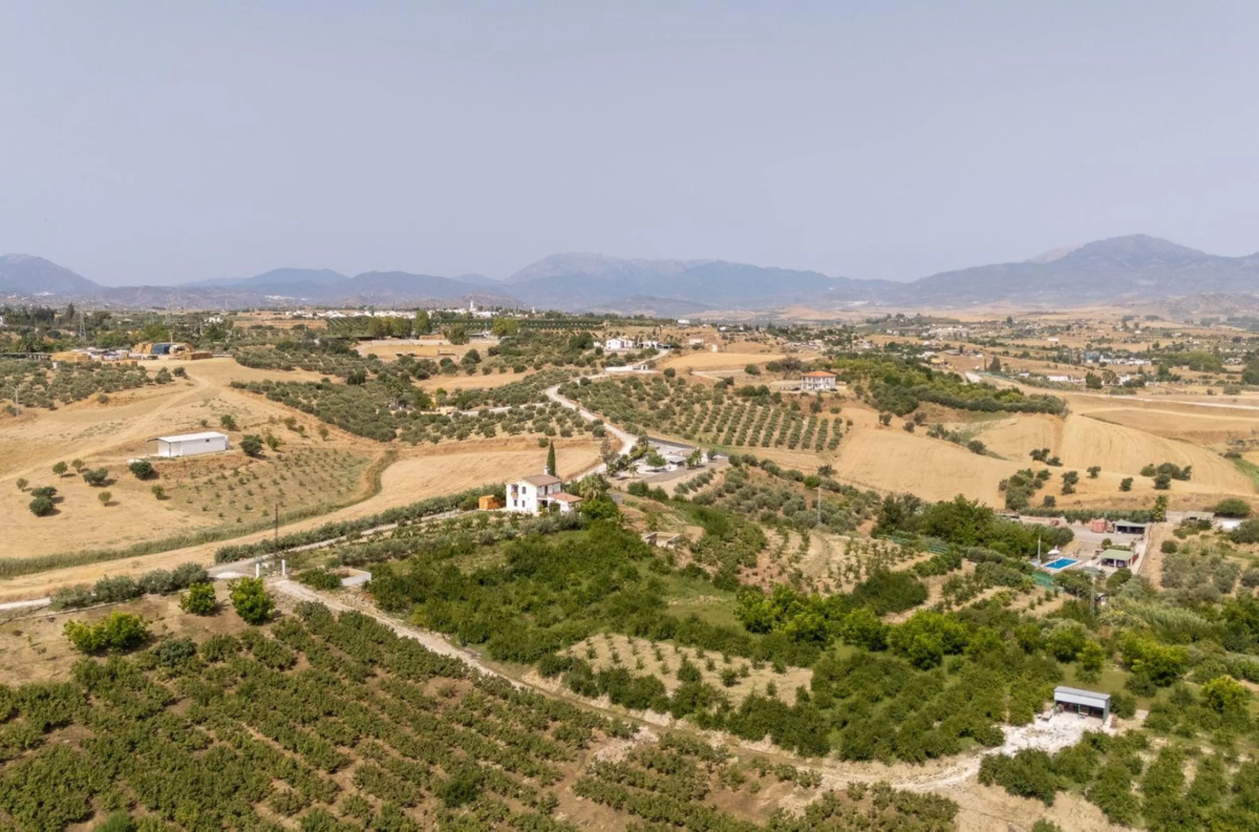 Wonderful finca with almost 50,000 m2 of land, totally fenced, with 5 different entrances, water from its own well plus irrigation water from the canal such us two algibes/ water deposits. T he land is divided into several terraces and planted mainly with
