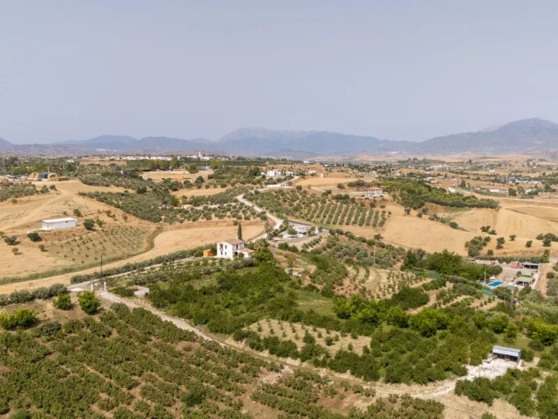 Wonderful finca with almost 50,000 m2 of land, totally fenced, with 5 different entrances, water from its own well plus irrigation water from the canal such us two algibes/ water deposits. T he land is divided into several terraces and planted mainly with