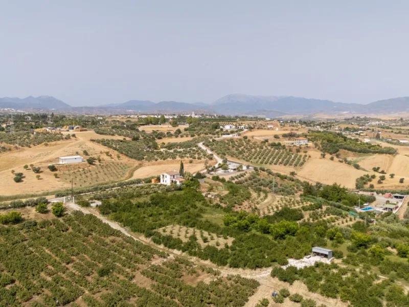 Wonderful finca with almost 50,000 m2 of land, totally fenced, with 5 different entrances, water from its own well plus irrigation water from the canal such us two algibes/ water deposits. T he land is divided into several terraces and planted mainly with