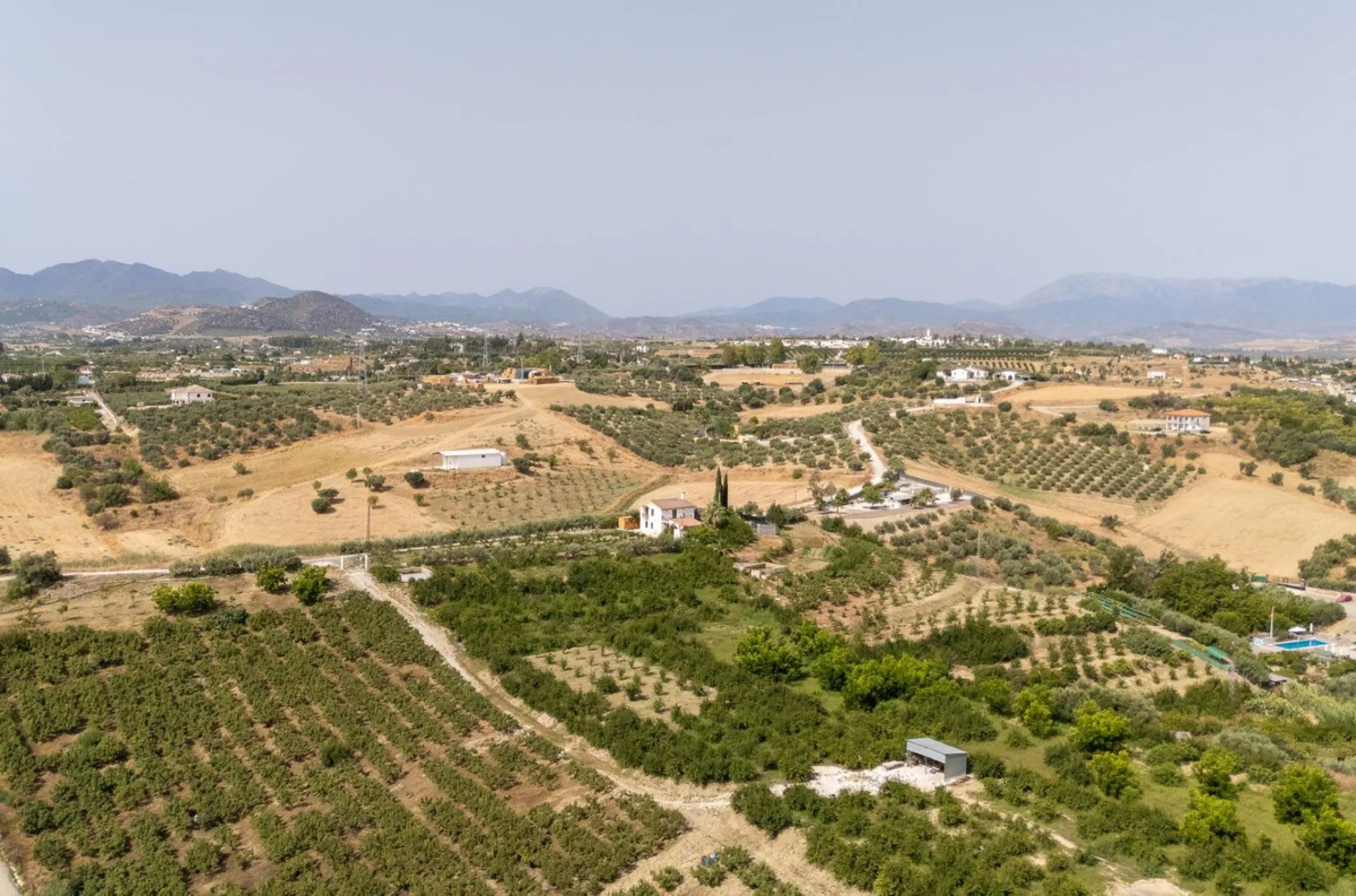 Wonderful finca with almost 50,000 m2 of land, totally fenced, with 5 different entrances, water from its own well plus irrigation water from the canal such us two algibes/ water deposits. T he land is divided into several terraces and planted mainly with