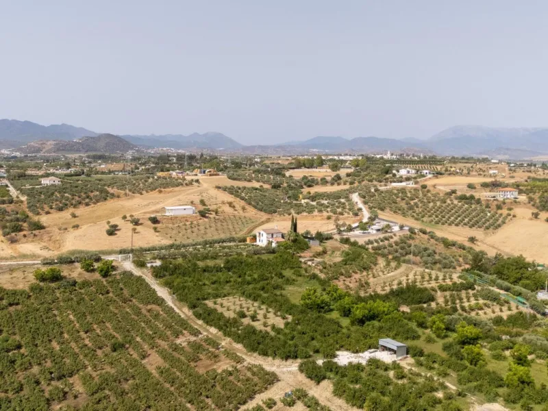 Wonderful finca with almost 50,000 m2 of land, totally fenced, with 5 different entrances, water from its own well plus irrigation water from the canal such us two algibes/ water deposits. T he land is divided into several terraces and planted mainly with