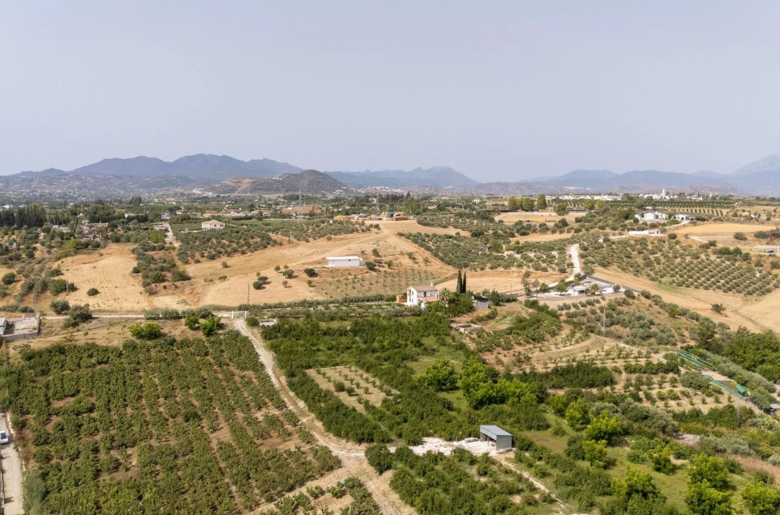 Wonderful finca with almost 50,000 m2 of land, totally fenced, with 5 different entrances, water from its own well plus irrigation water from the canal such us two algibes/ water deposits. T he land is divided into several terraces and planted mainly with