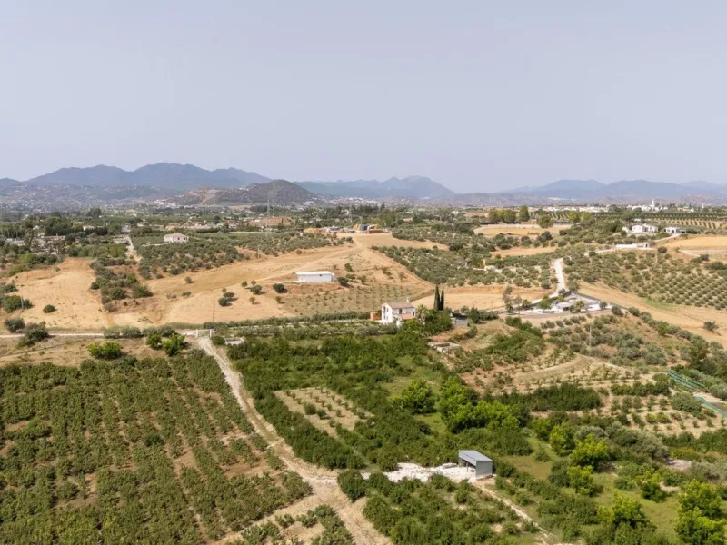 Wonderful finca with almost 50,000 m2 of land, totally fenced, with 5 different entrances, water from its own well plus irrigation water from the canal such us two algibes/ water deposits. T he land is divided into several terraces and planted mainly with
