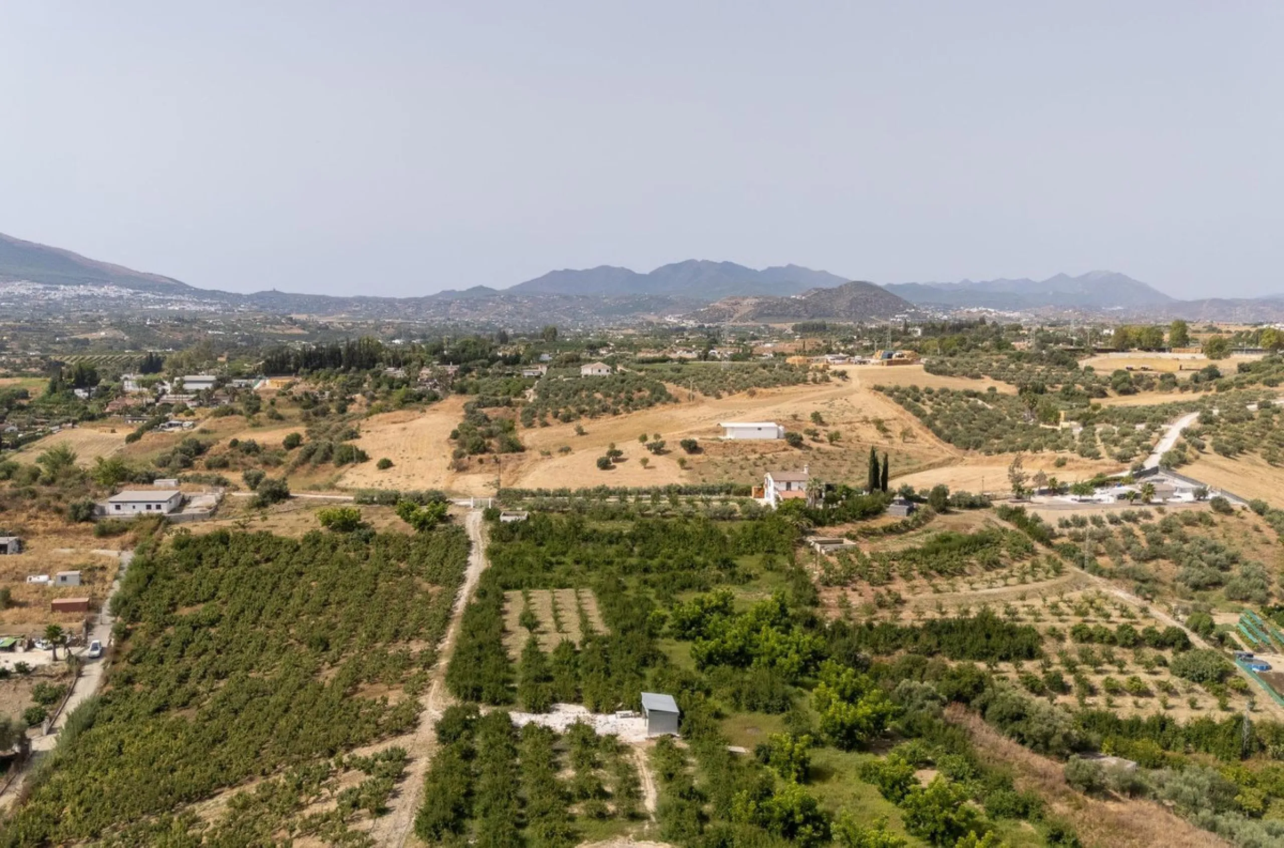 Wonderful finca with almost 50,000 m2 of land, totally fenced, with 5 different entrances, water from its own well plus irrigation water from the canal such us two algibes/ water deposits. T he land is divided into several terraces and planted mainly with